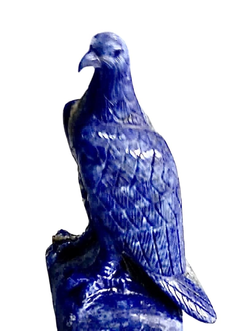 Aquila