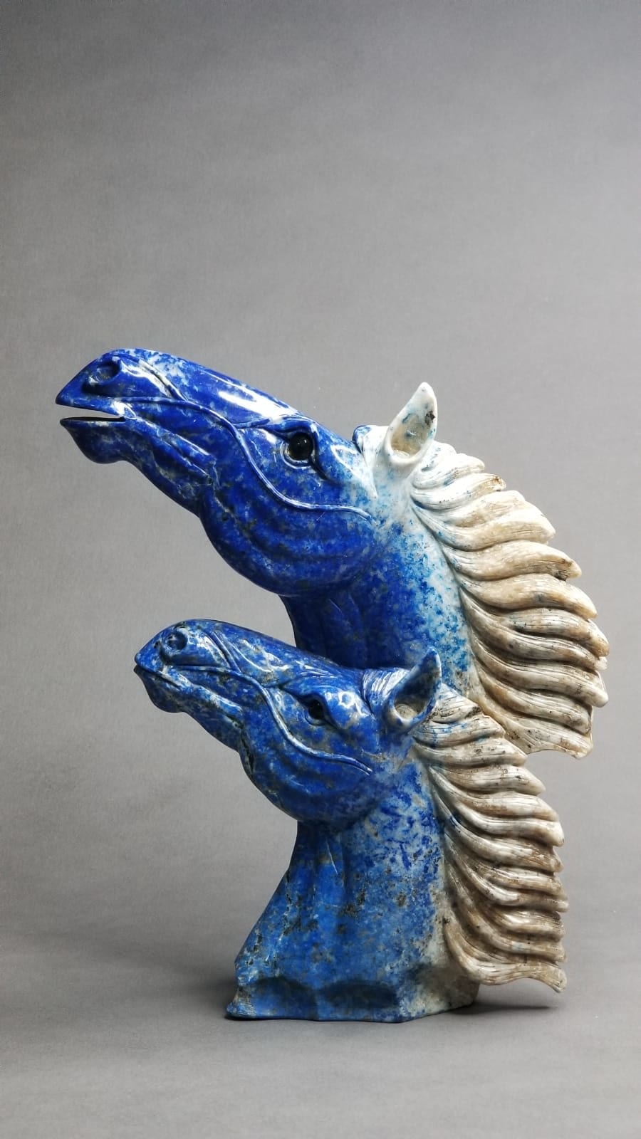 The Two Stallions