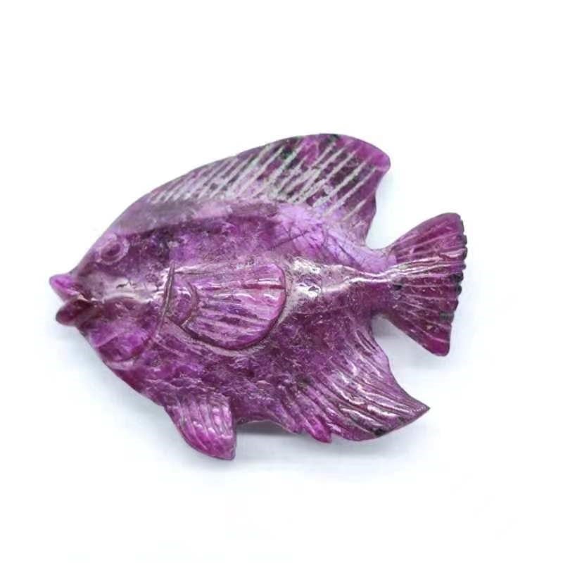 Ruby Angel Fish