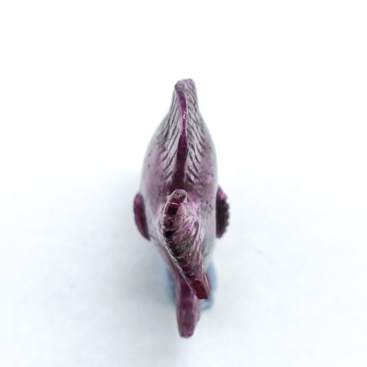 Ruby Angel Fish