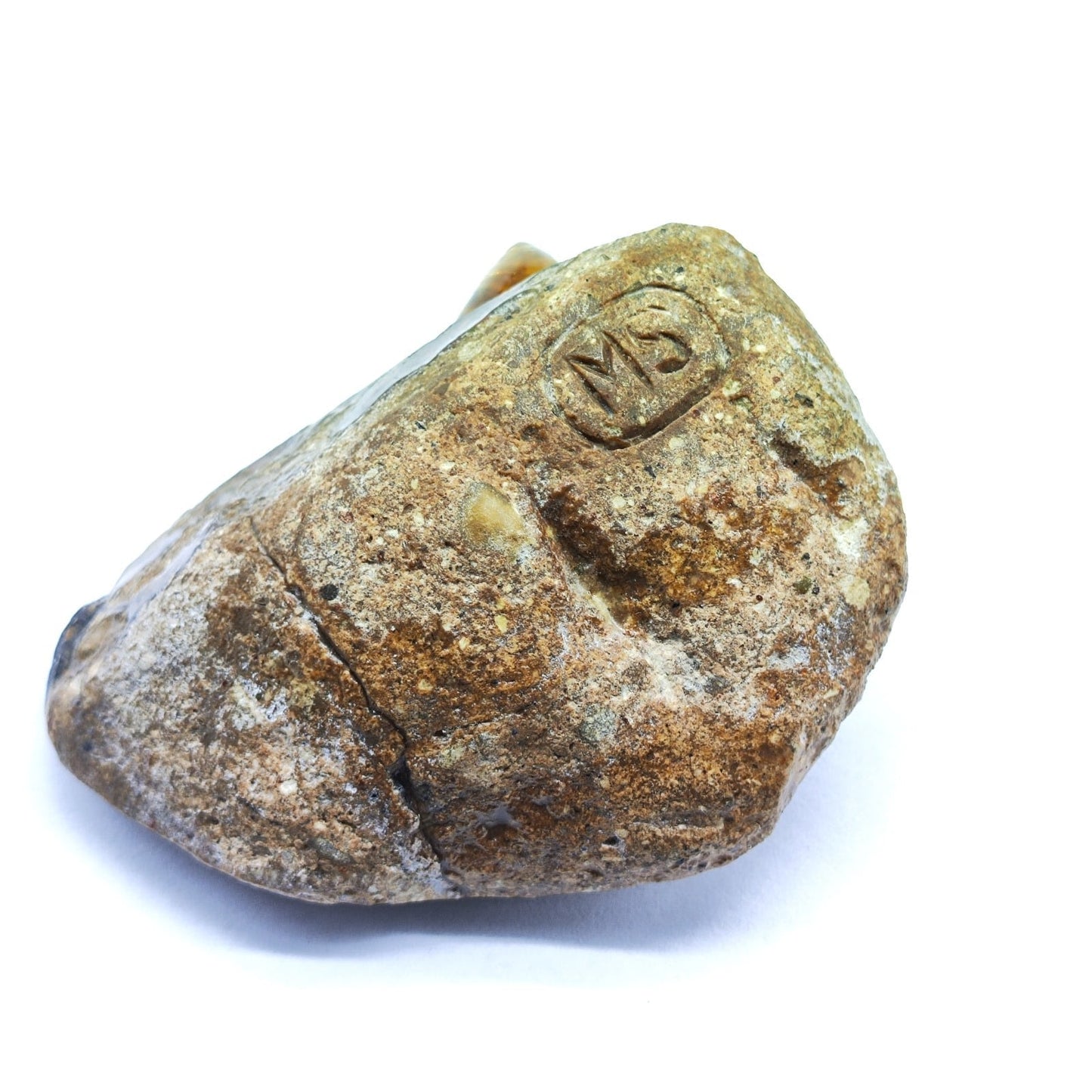 Opal Turtle