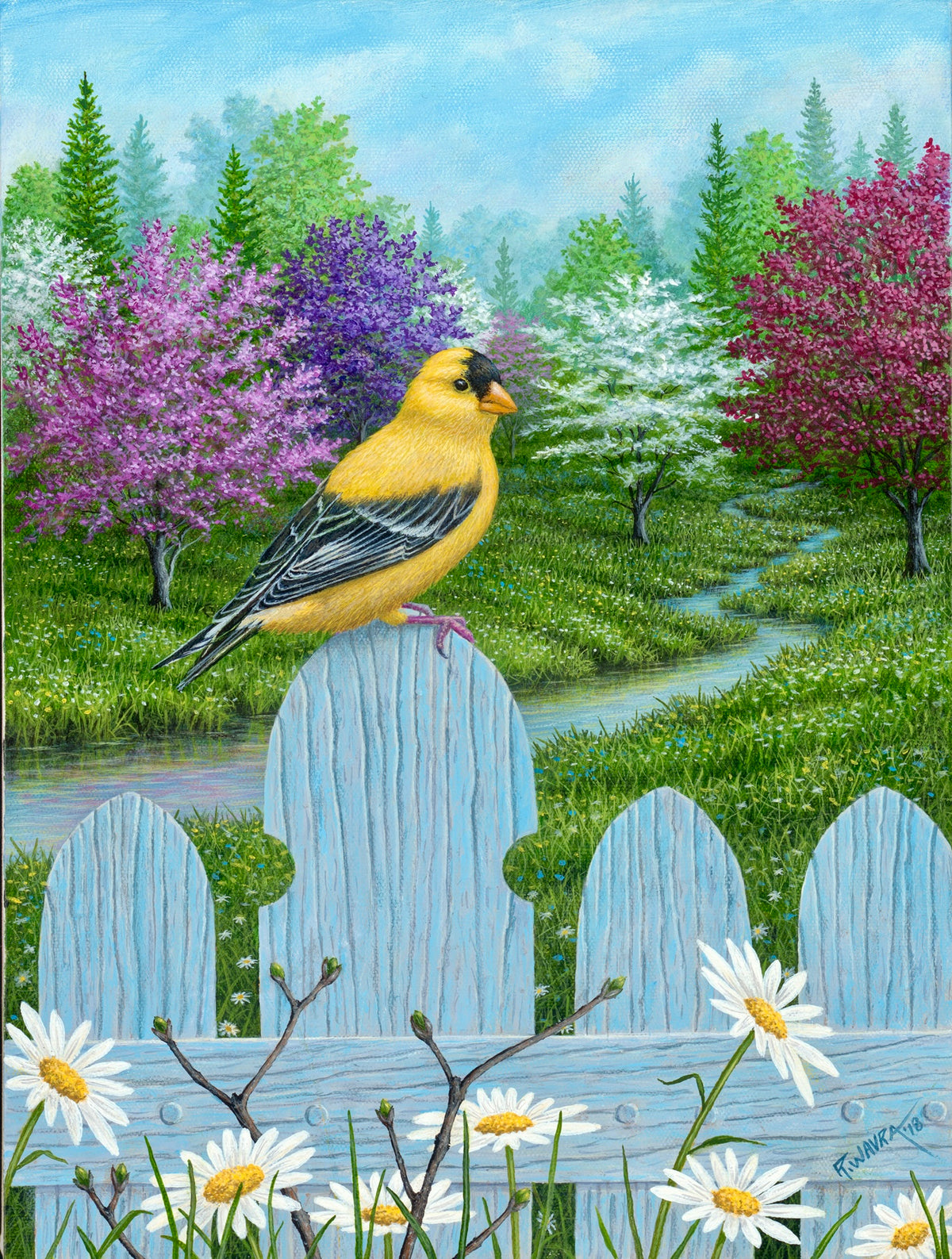 Gold Finch and Daisies (2018)