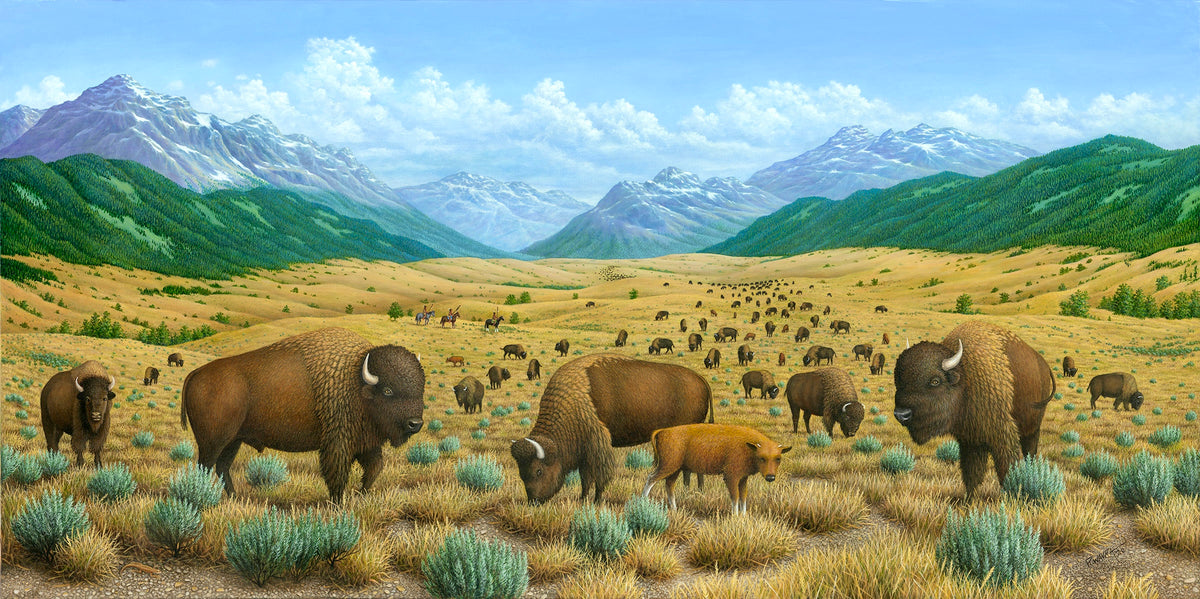 The Bison Trail