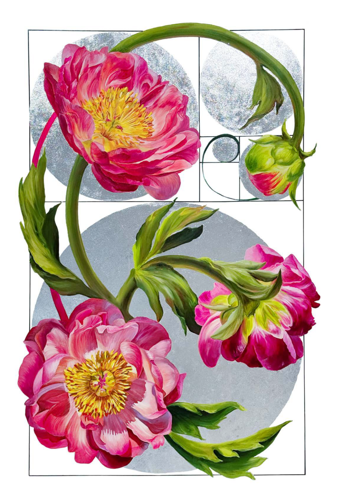Fibonacci's Secret Garden (2025)
