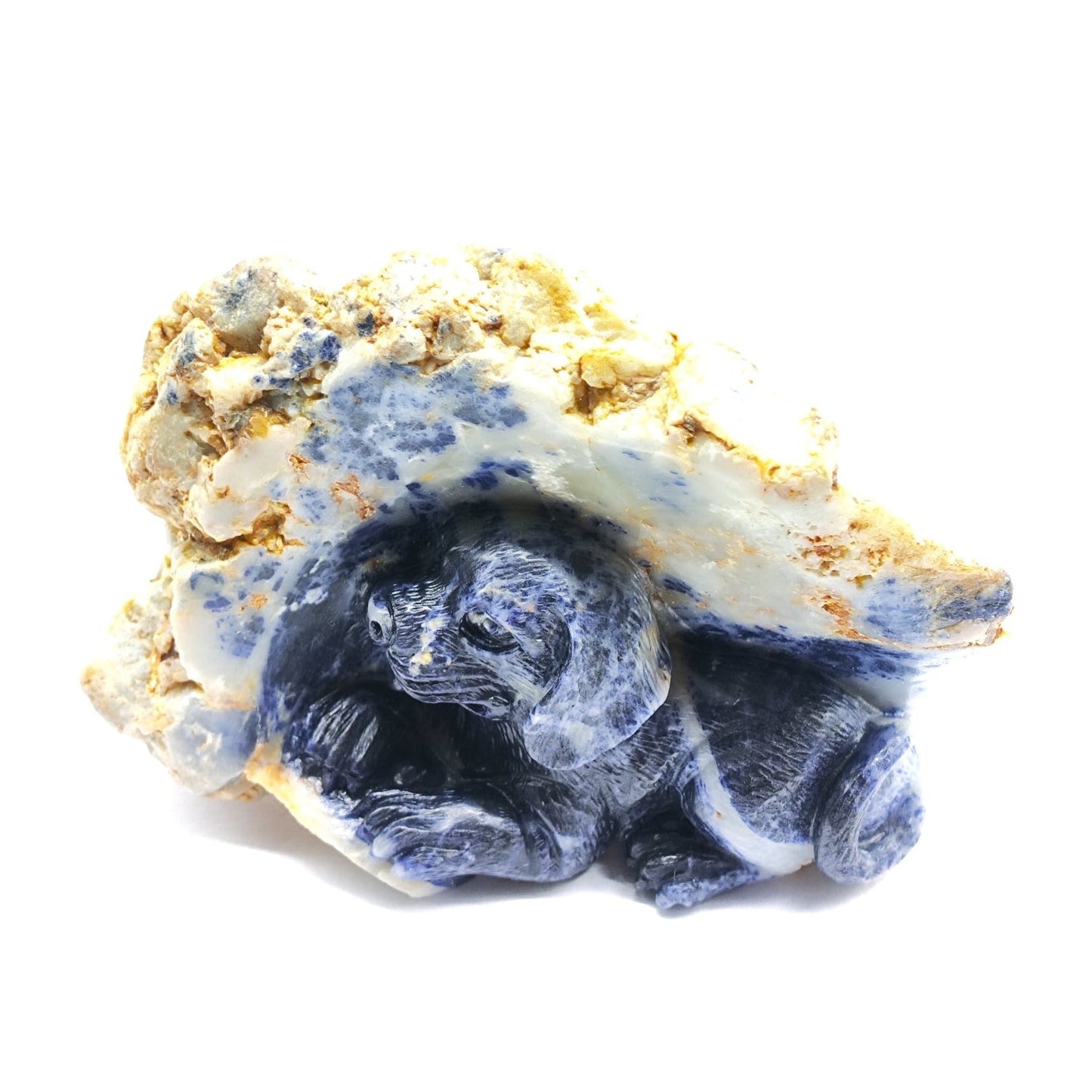 Blue Sapphire Dog