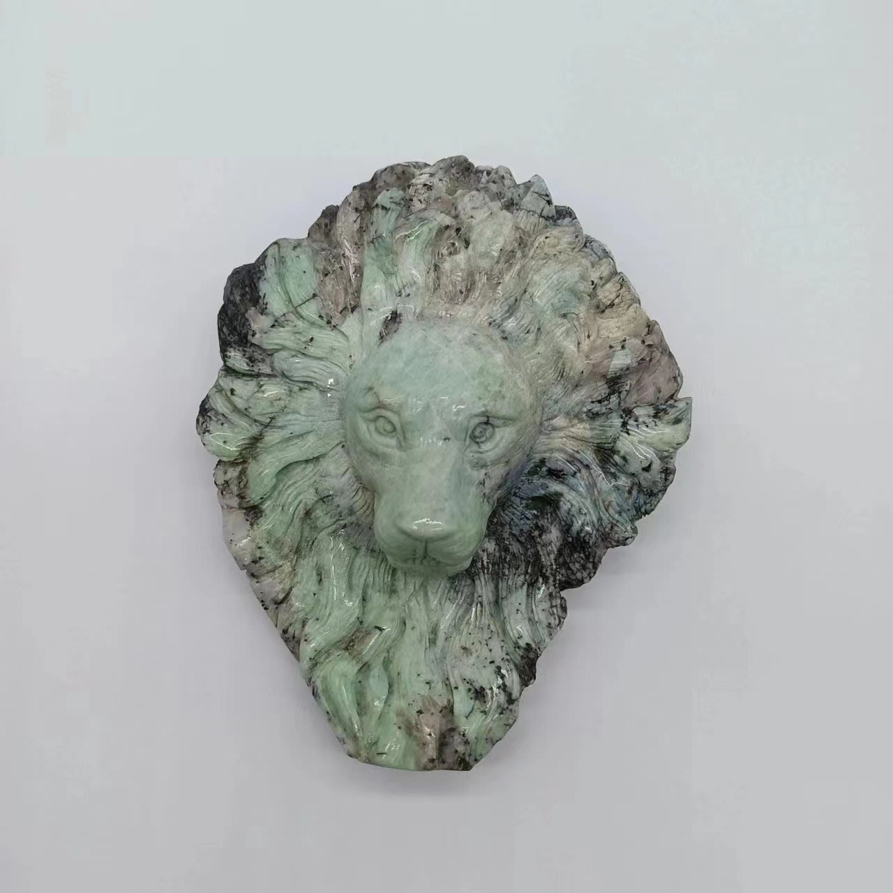 Lion's Face