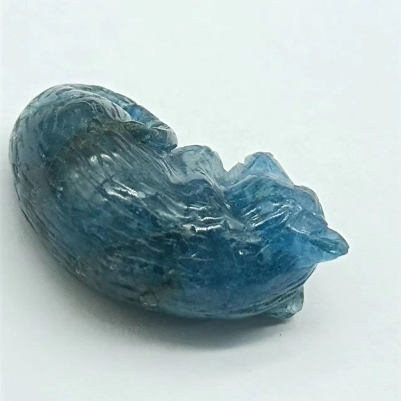 Blue Sapphire Cat