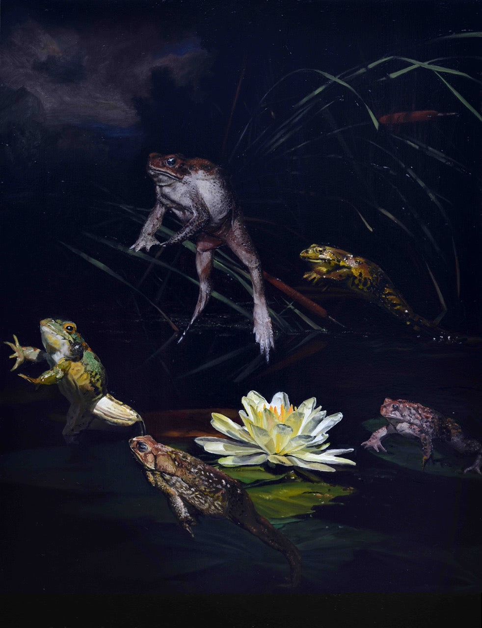 Les Grenouilles et le Soleil (2024)