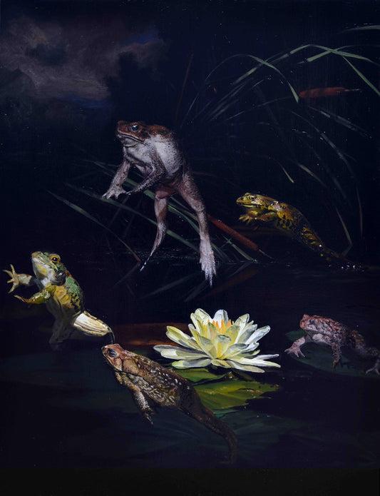 Les Grenouilles et le Soleil (2024)