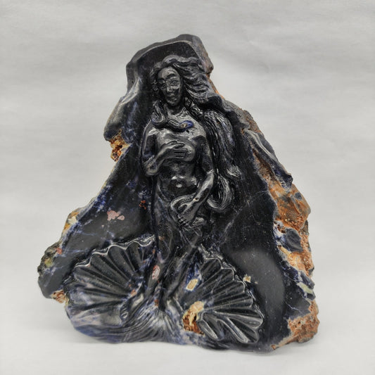 The Birth of Venus Sapphire