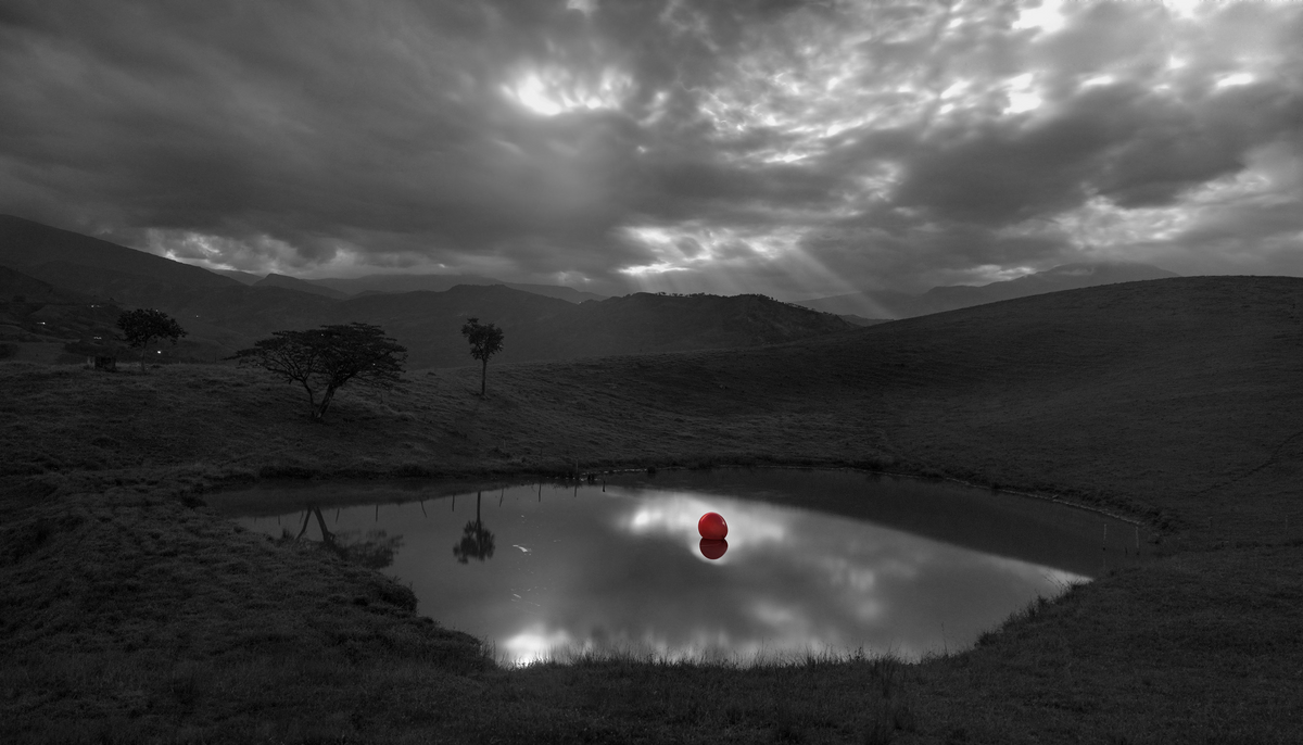 Introspection I
