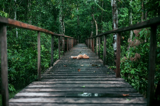 Reclaiming the Path