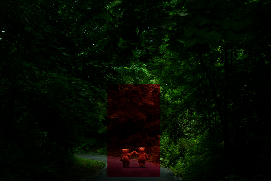 Walking Through Light and Shadow