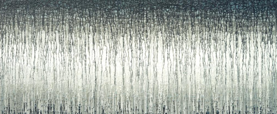Black Veils Over Warm Light (2025)