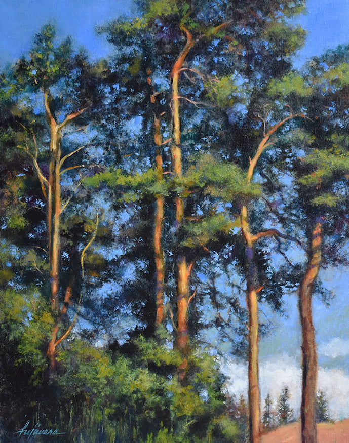 Clinton River Trail