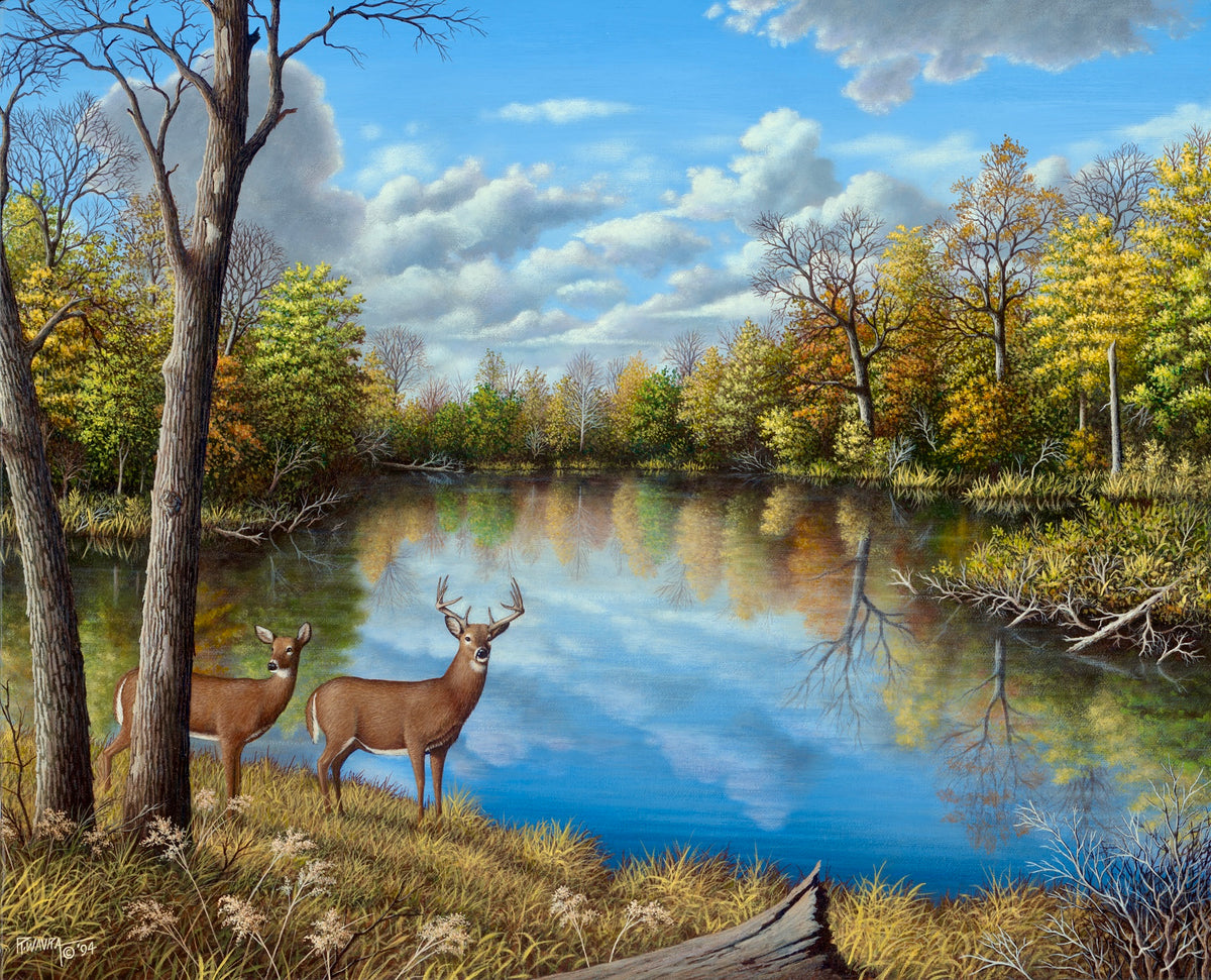 Autumn Along The Wildcat (1994)
