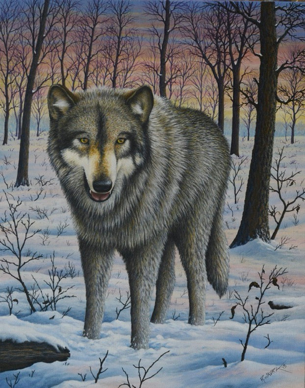 Lone Wolf (2013)