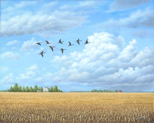 Passing By - Canada Geese (2011)