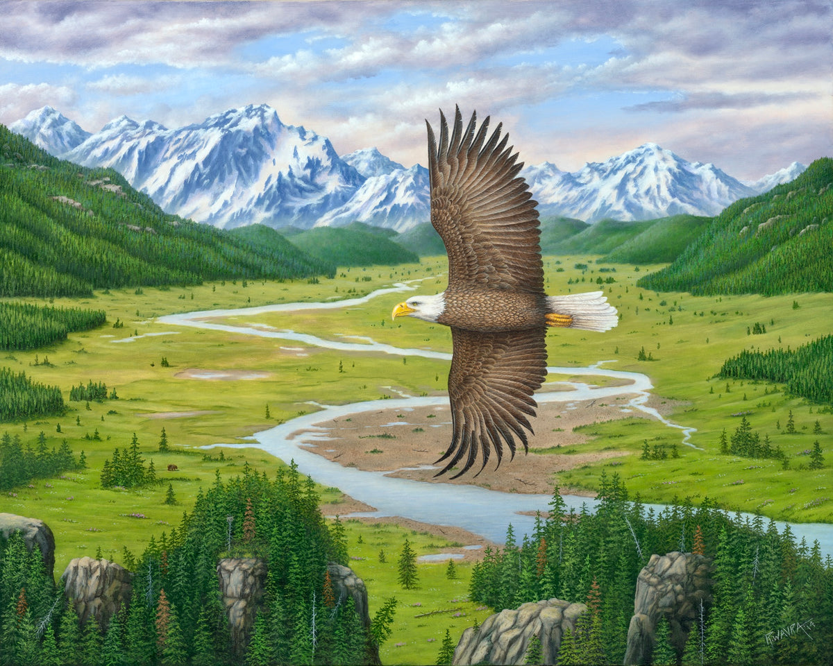Soaring Above (2014)