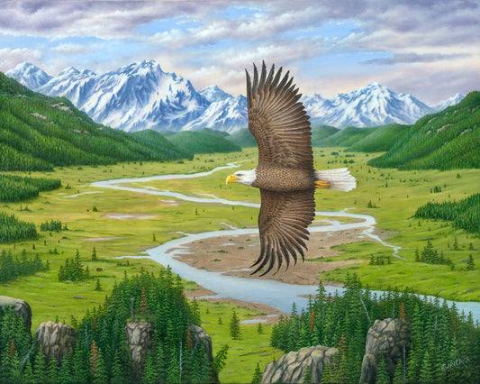 Soaring Above (2014)