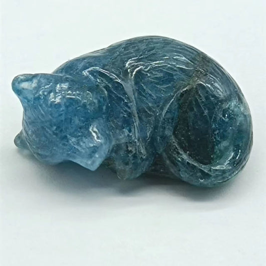 Blue Sapphire Cat